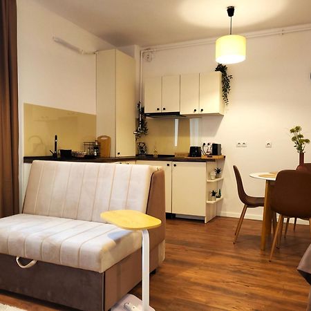 Garden City Studio Сібіу Екстер'єр фото